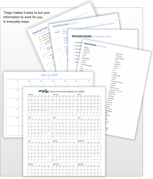 reports and output twigs